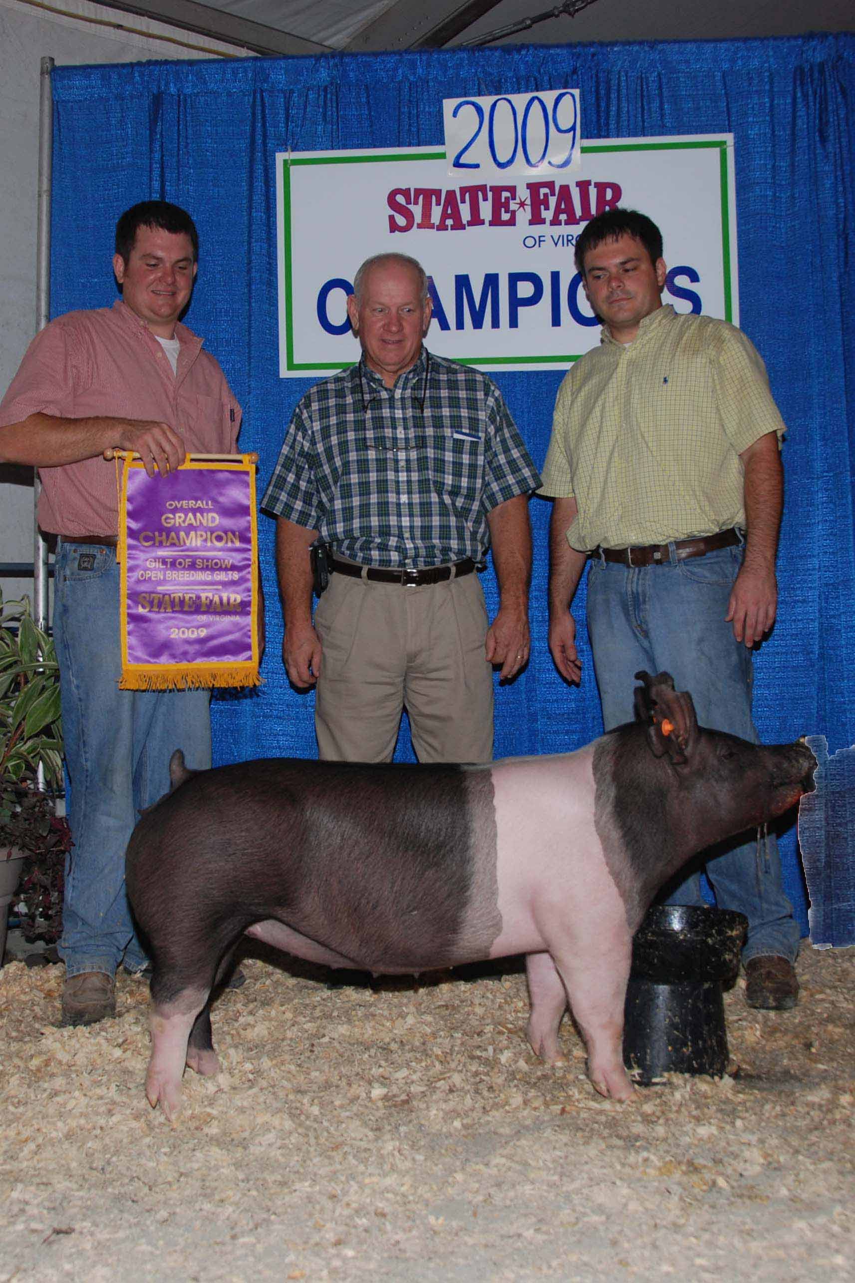 2009 Grand Champion Gilt Virginia State Fair Land of Promise Farms
