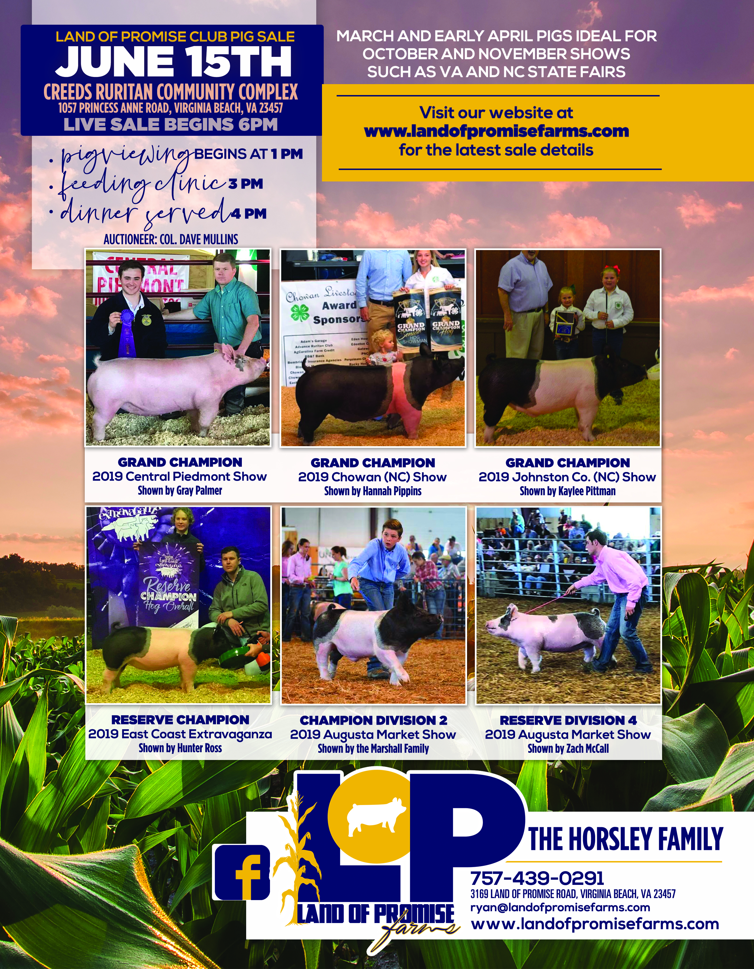 Show Pigs Land Of Promise Farms show-pigs-land-of-promise-farms